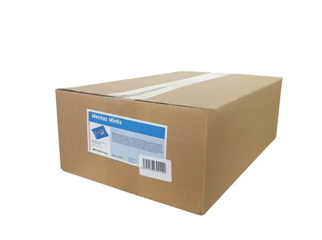 mentos mint Duo 500 x 2 Stück | CaterPoint.de