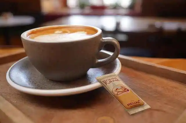 Hellma Kandis braun 80 x 6g | CaterPoint.de