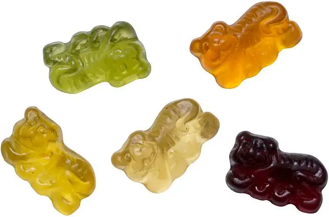 Hellma Tagungs Tiger - 100 Minibeutel à 10g Beutel | CaterPoint.de